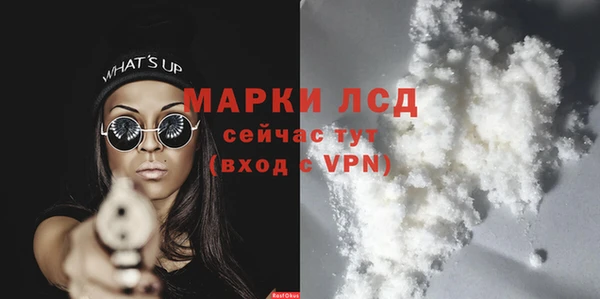 амф Верея