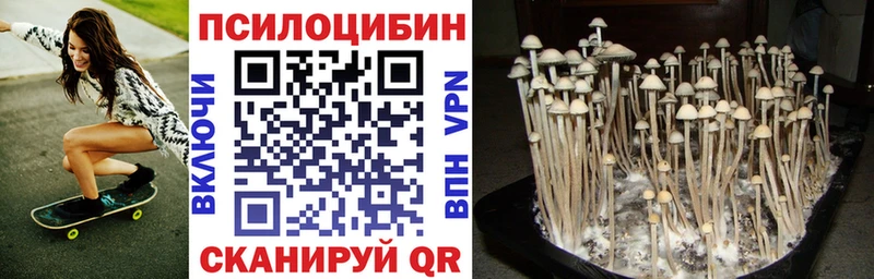Псилоцибиновые грибы Magic Shrooms  Волхов 
